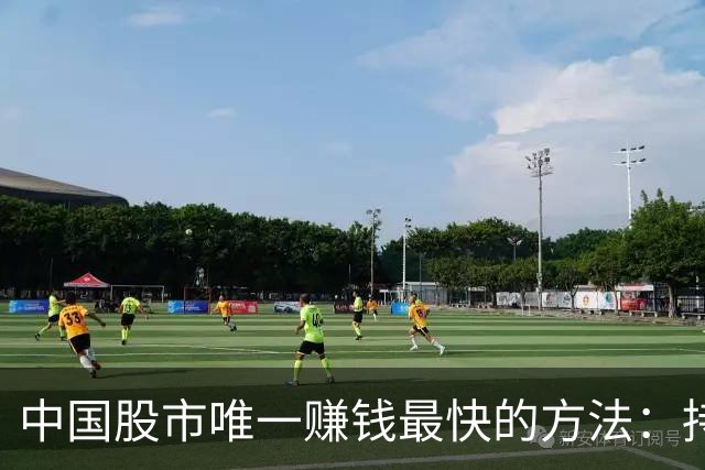 中国股市唯一赚钱最快的方法：持有一只股，保留50%仓位，长期做T