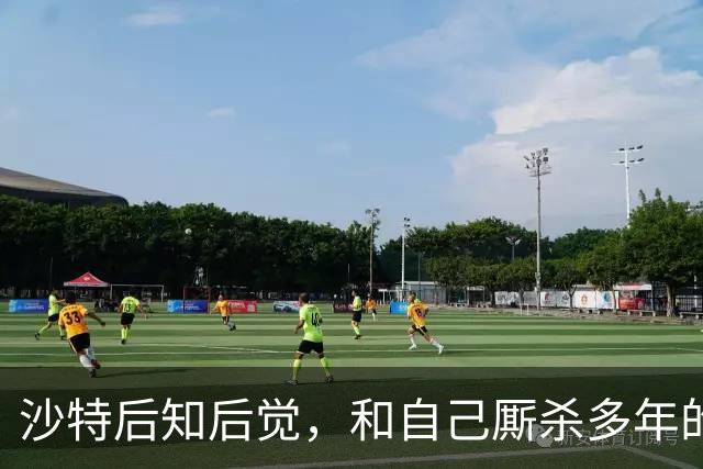 沙特后知后觉，和自己厮杀多年的胡塞武装，暗地里早和美国谈好了
