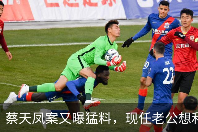 蔡天凤案又曝猛料，现任老公想和前夫发生关系，并承认500万输光